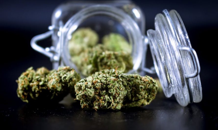 Weed Legalization in Prague: What’s Next?
